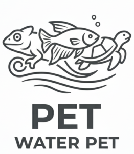 Gemini_Generated_Image_ncwcyrncwcyrncwc