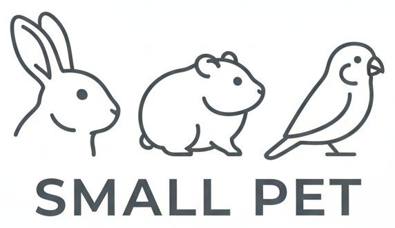 Gemini_Generated_Image_v4lmtyv4lmtyv4lm