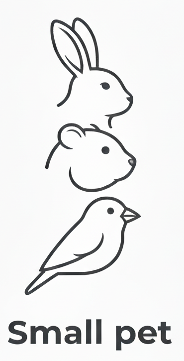 Gemini_Generated_Image_z1wwy3z1wwy3z1ww